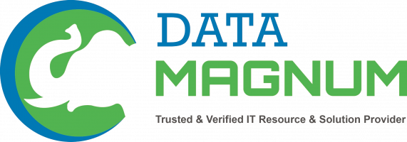 Data Magnum